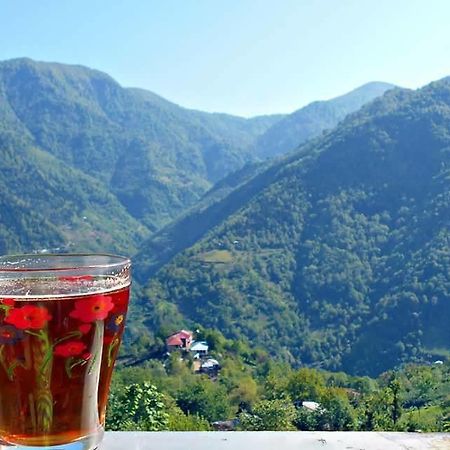 Kveda Chkhutuneti Guest House Noe المظهر الخارجي الصورة