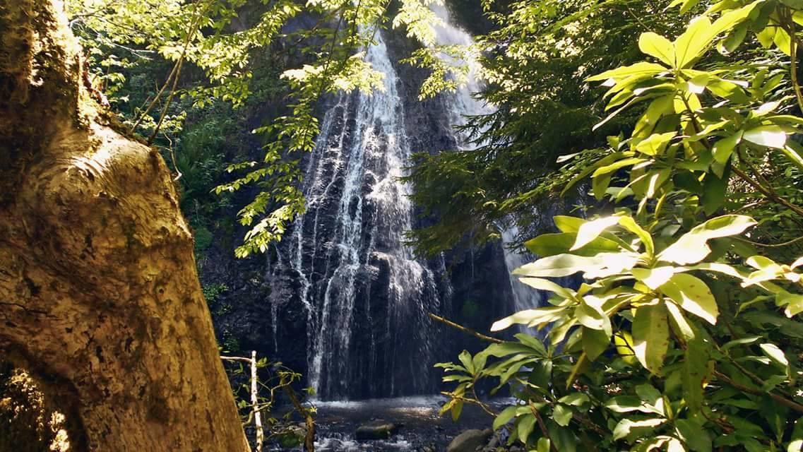 Kveda Chkhutuneti Guest House Noe المظهر الخارجي الصورة